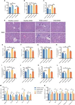 β-hydroxybutyrate administration improves liver injury and metabolic abnormality in postnatal growth retardation piglets
